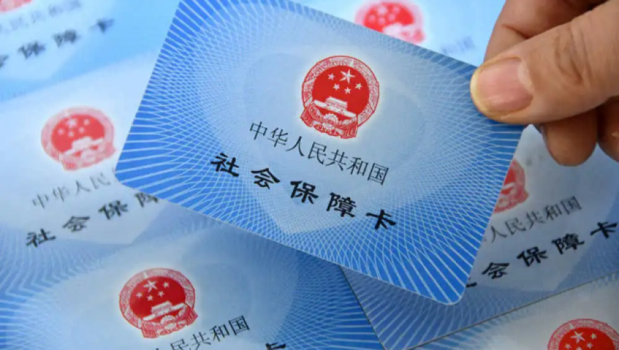 澳门2025开奖结果 开奖直播,女子想和鲨鱼自拍被咬断手臂,重点解答解释落实_钻石版V11.67