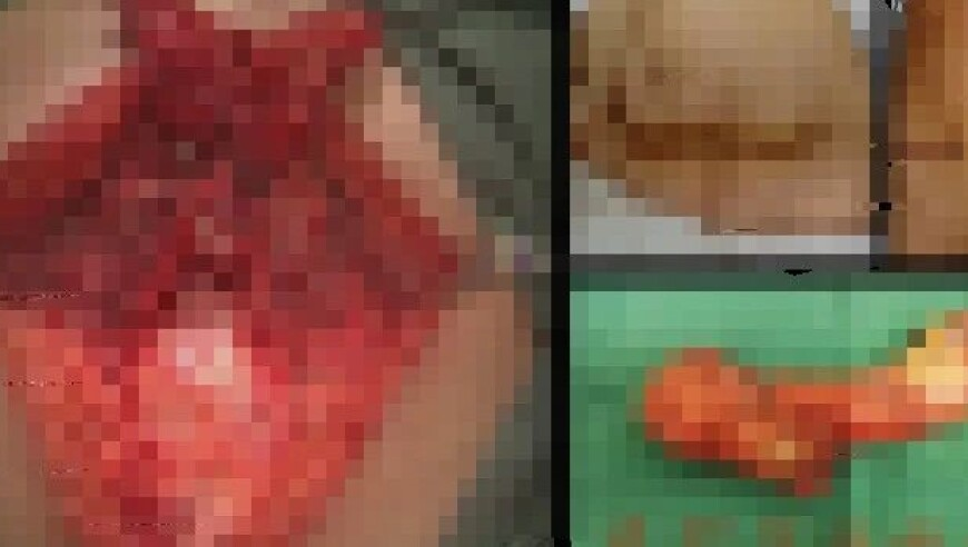 为何国产2D动画越来越少,二四六蓝月亮开奖大全,动态词语解释落实_至尊版V11.65